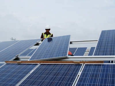 dsc_02651_medium_0_0