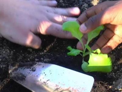 ensemble_video_-_publish_share_and_archive_internet_video