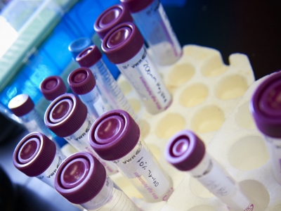 ewc_templeresearch3072013001131_2