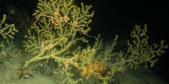 fisher_mc297-2_7-2014_0