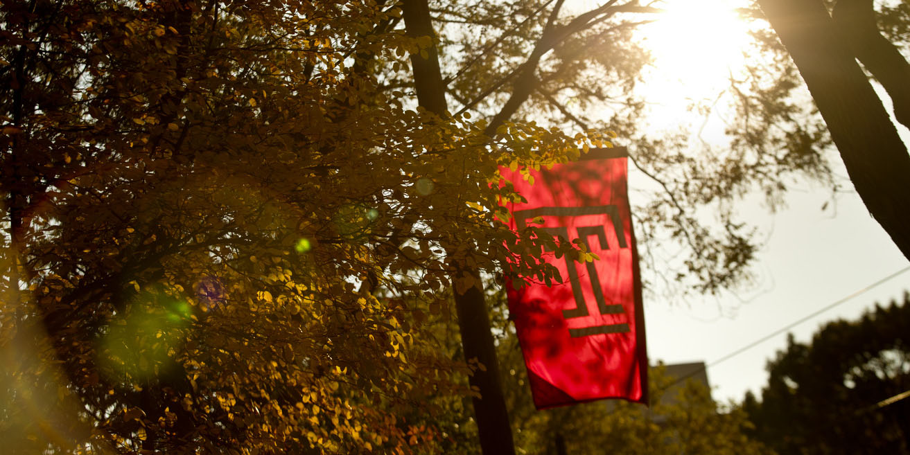 freeze_fallstockforgifs_065-web_res_jpeg_72_dpi260x174_1