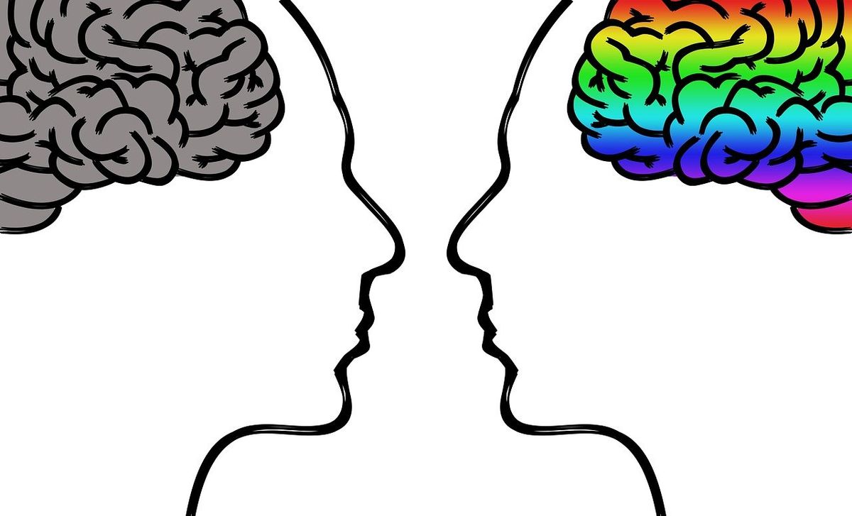 Two people with different colored brains