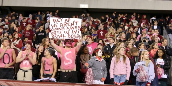 Fans in crowd at football game