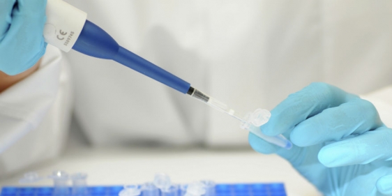 istock_000007019497medium_2