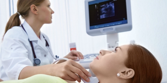 istock_000017435806medium