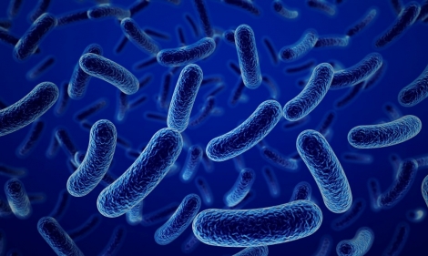 istock_000017491585_large_medium