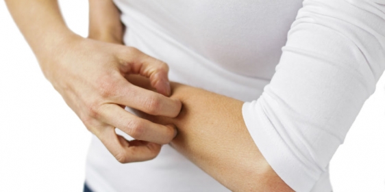 istock_000040227244medium