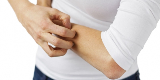 istock_000040227244medium_1_1