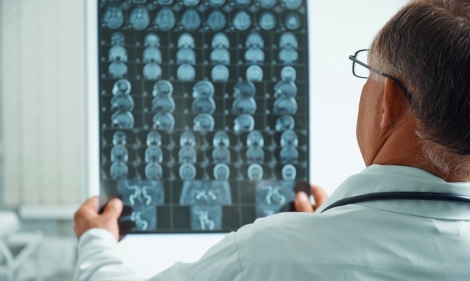 istock_000048164260_full_medium_2