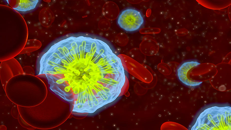 An infected blood stream.