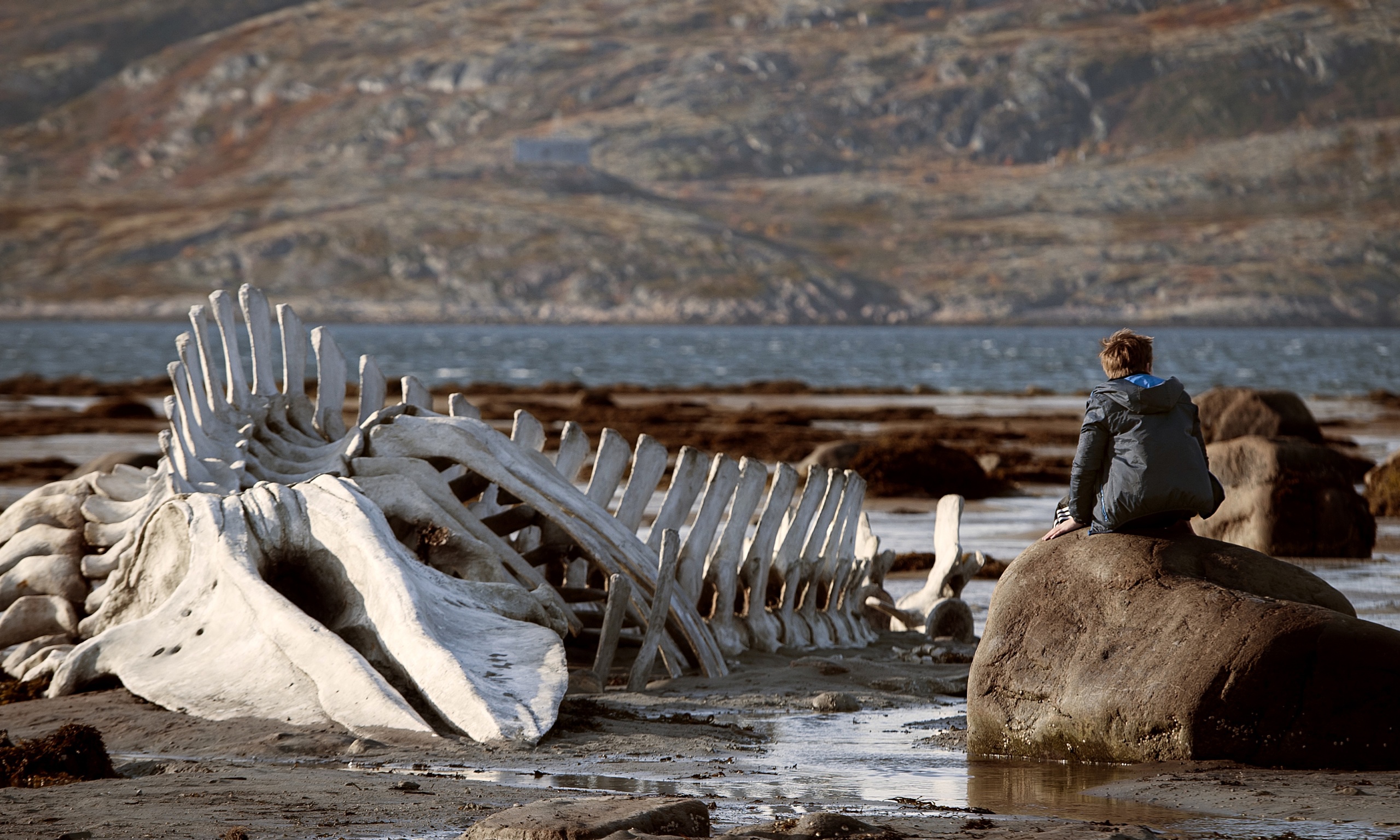 leviathan