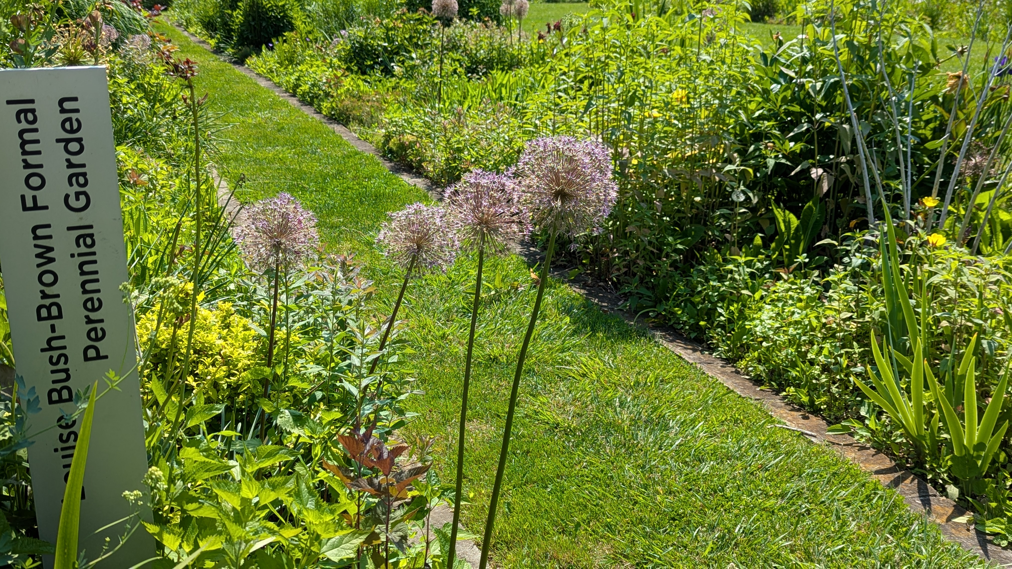 Ambler Arboretum: Summer Horticulture Hike - Sept