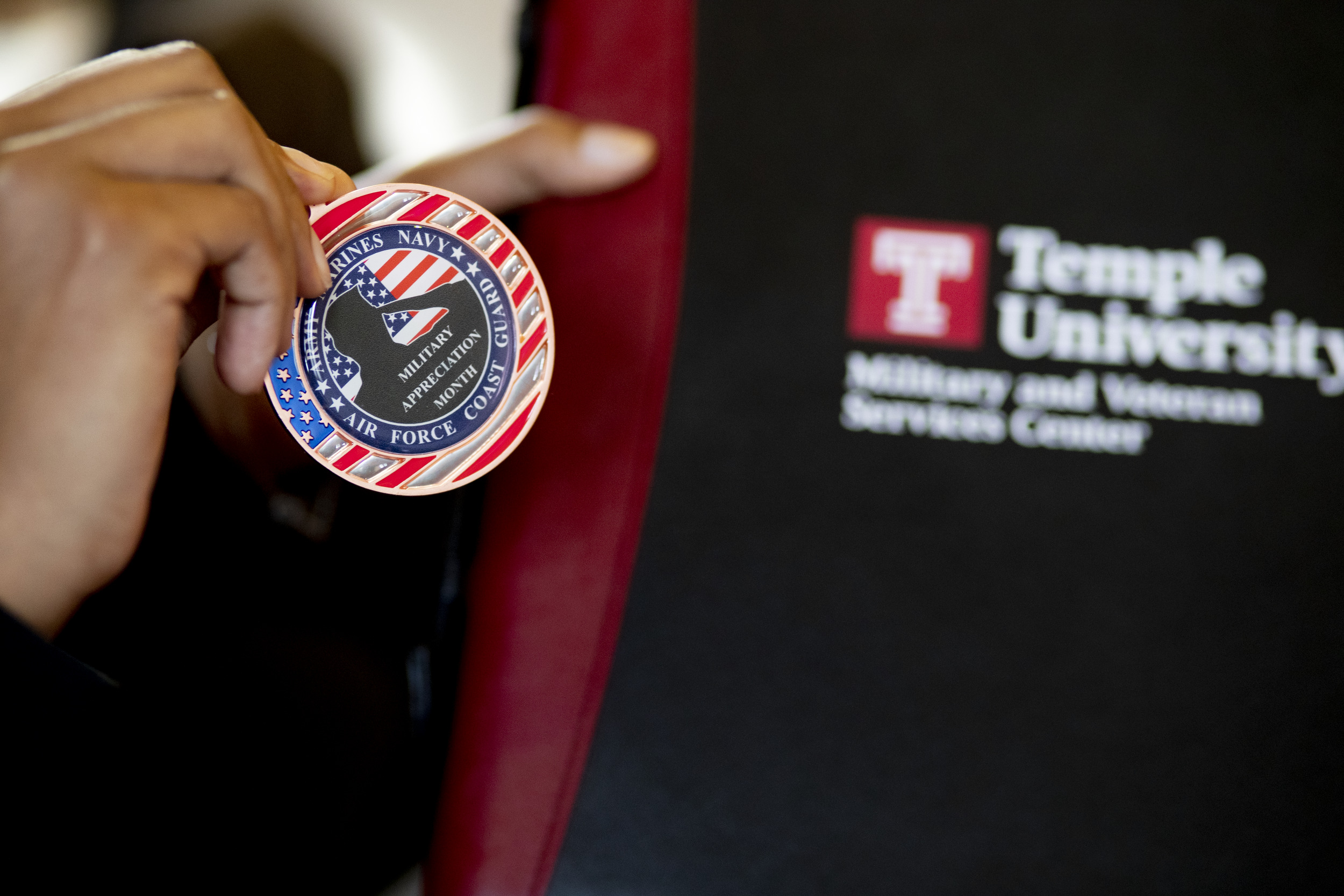 person holding veteran pin
