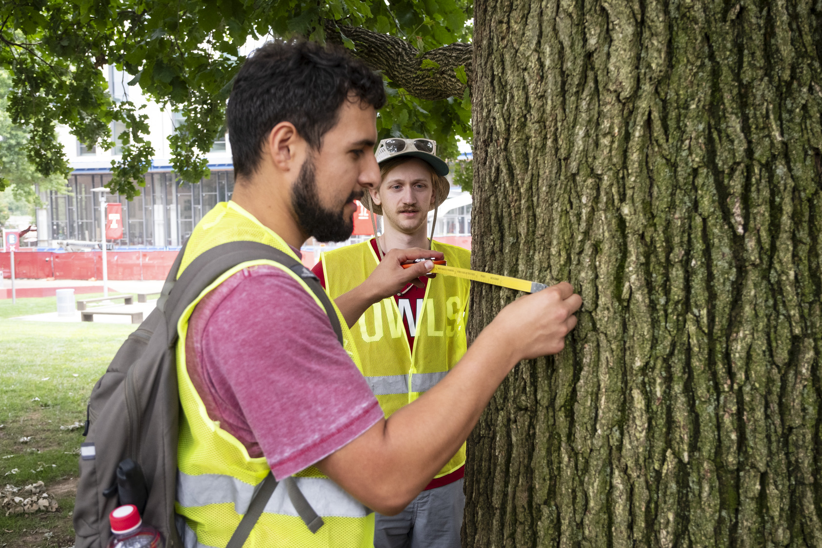 Two students measure a tree on Beury Beach