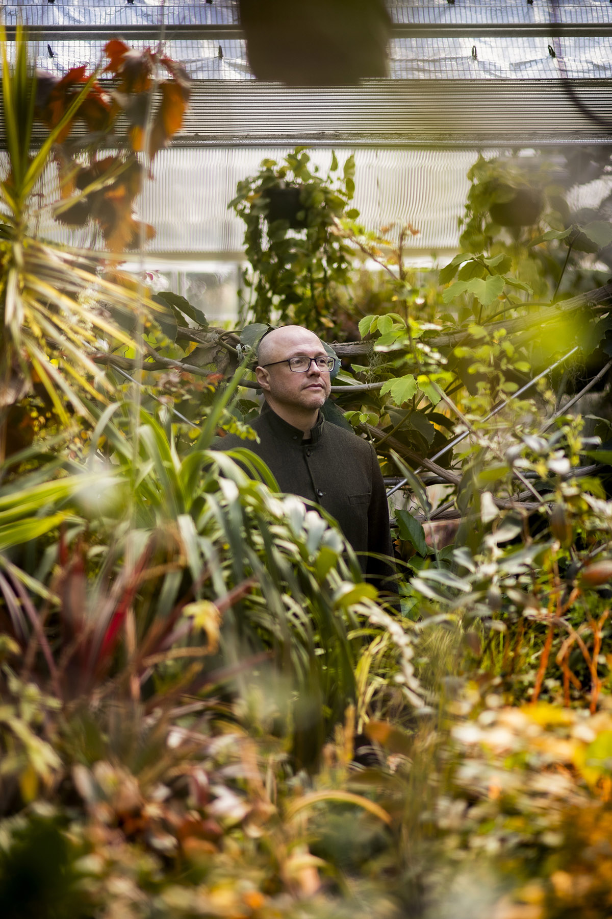 Temple researcher Sasha Eisenman led the discovery and naming of a new plant species in New Jersey, helping pave the way for its protection.