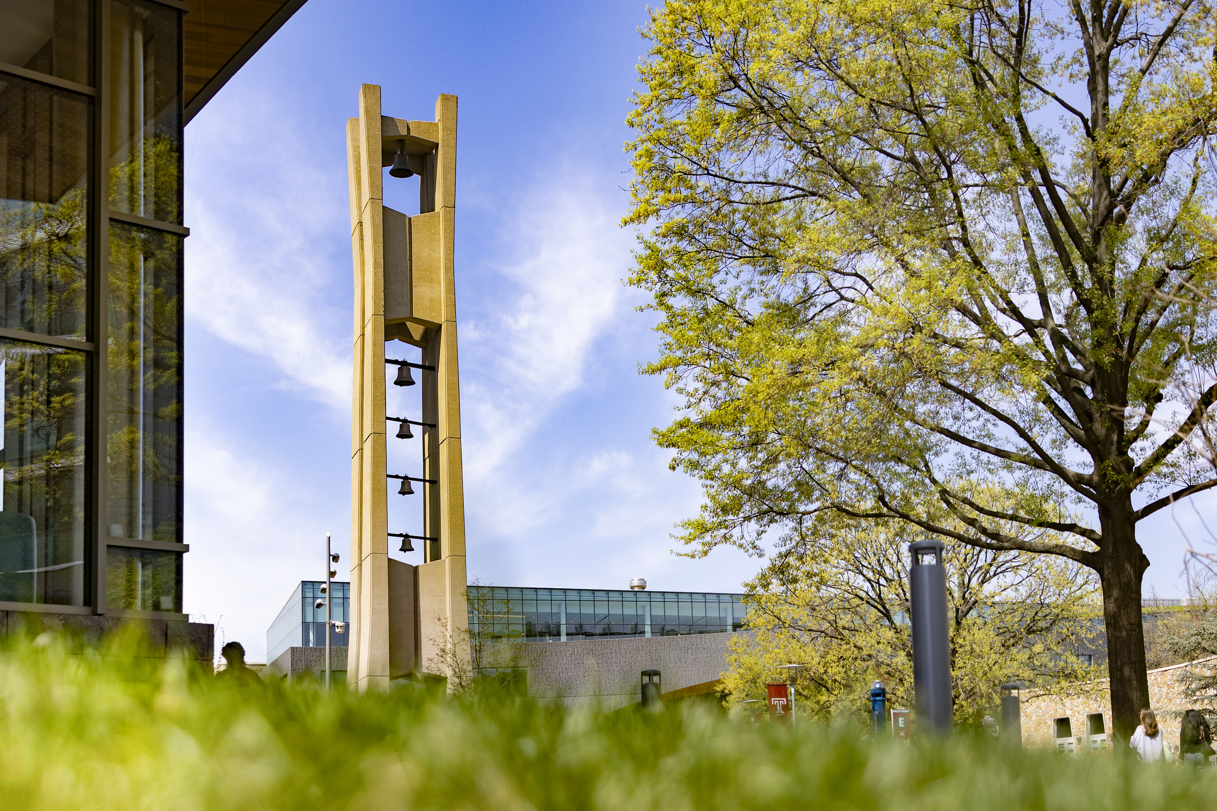 Bell Tower and tree pictured.
