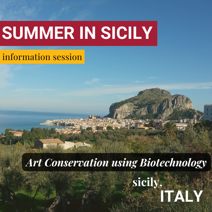 Summer in Sicily