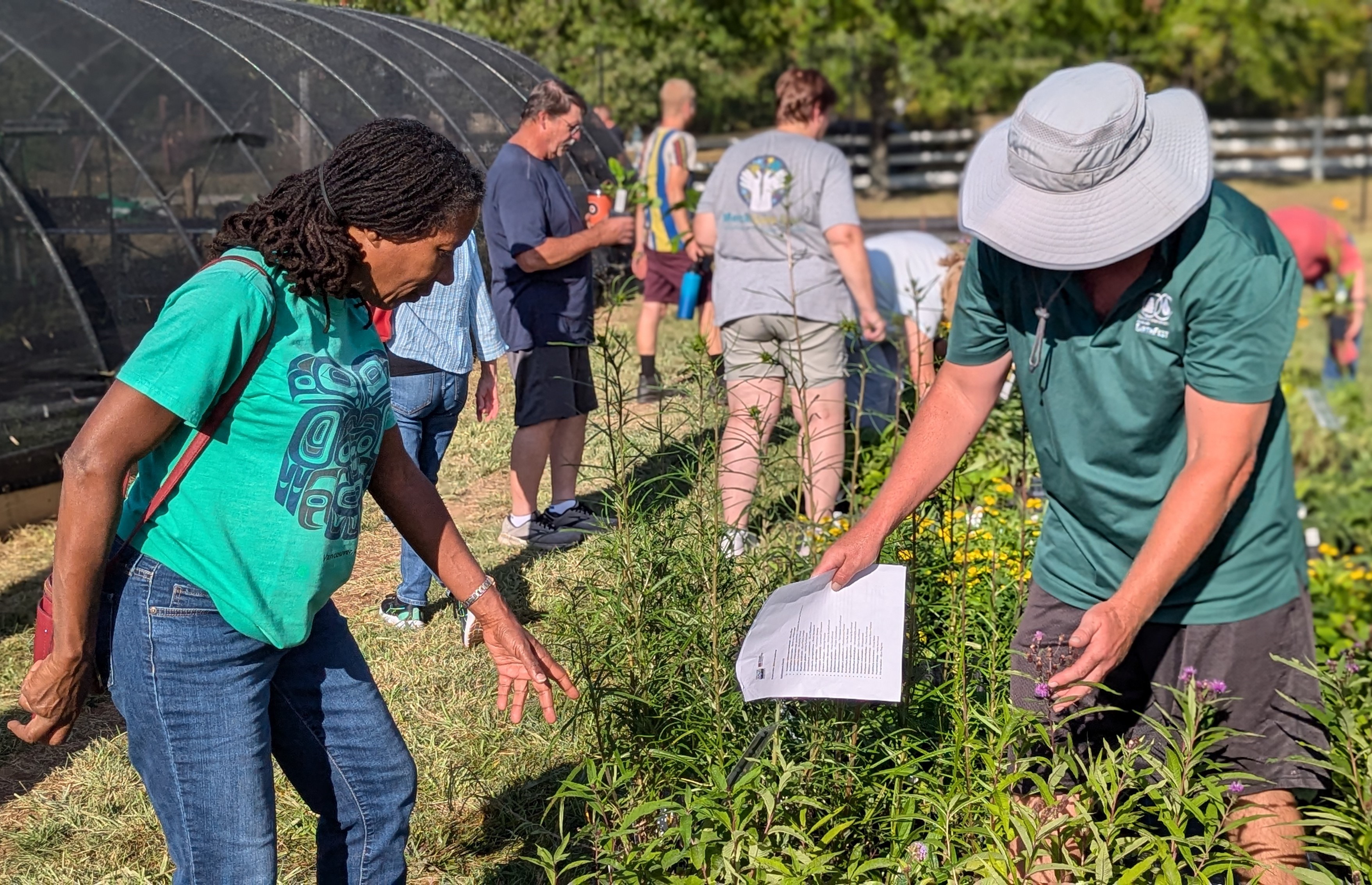 Collins Nursery - June 13, 2026