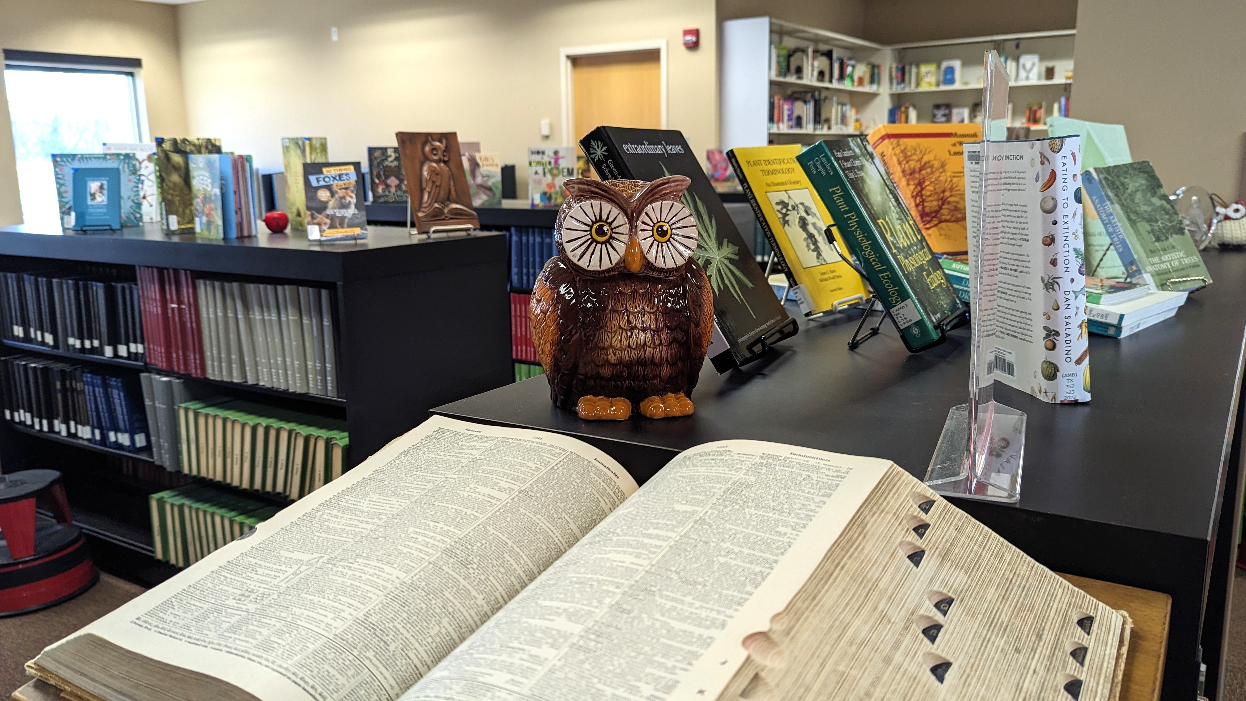 Ambler Campus: Whatchya Readin’ Book Club