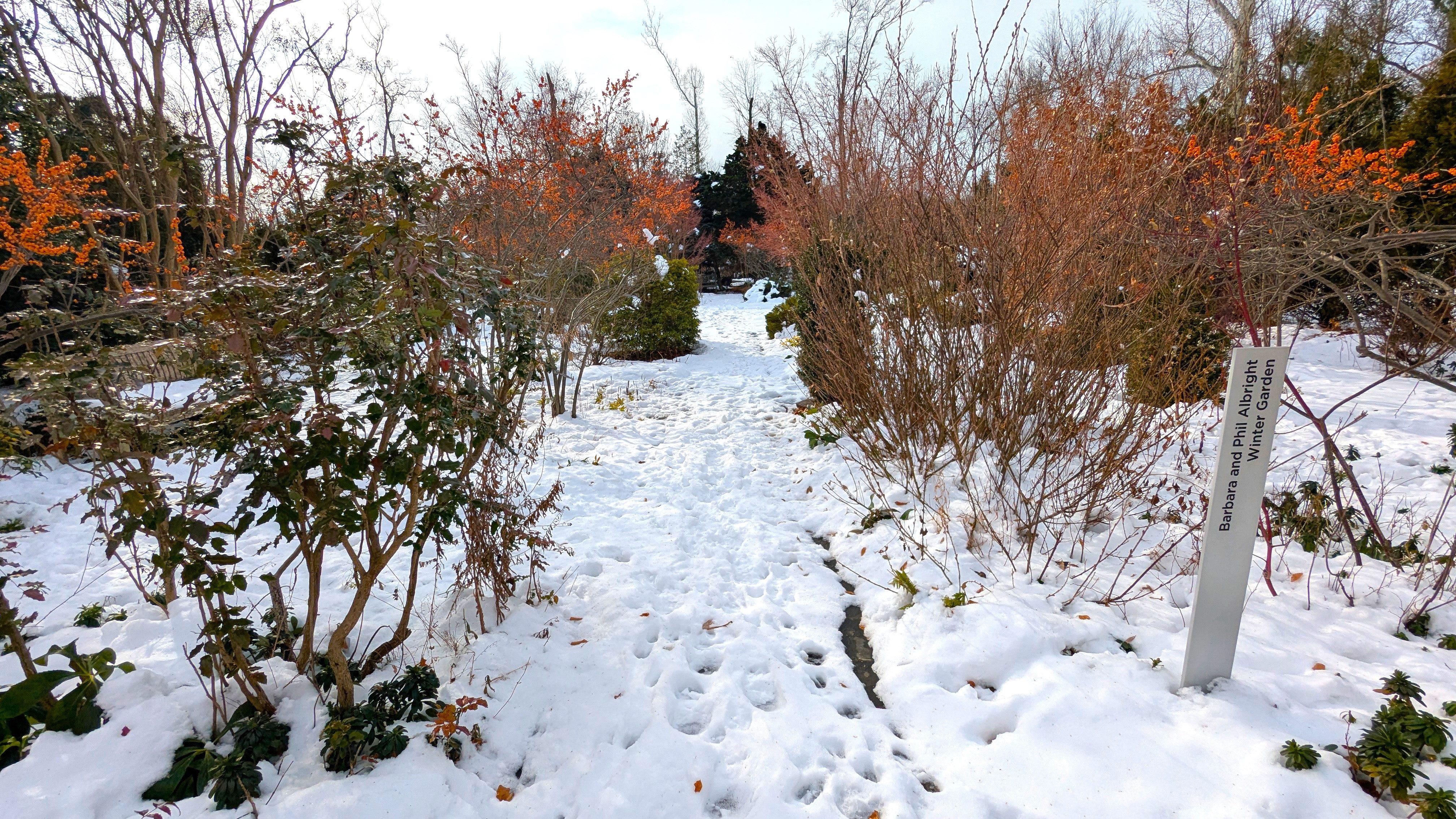 Ambler Arboretum in Winter