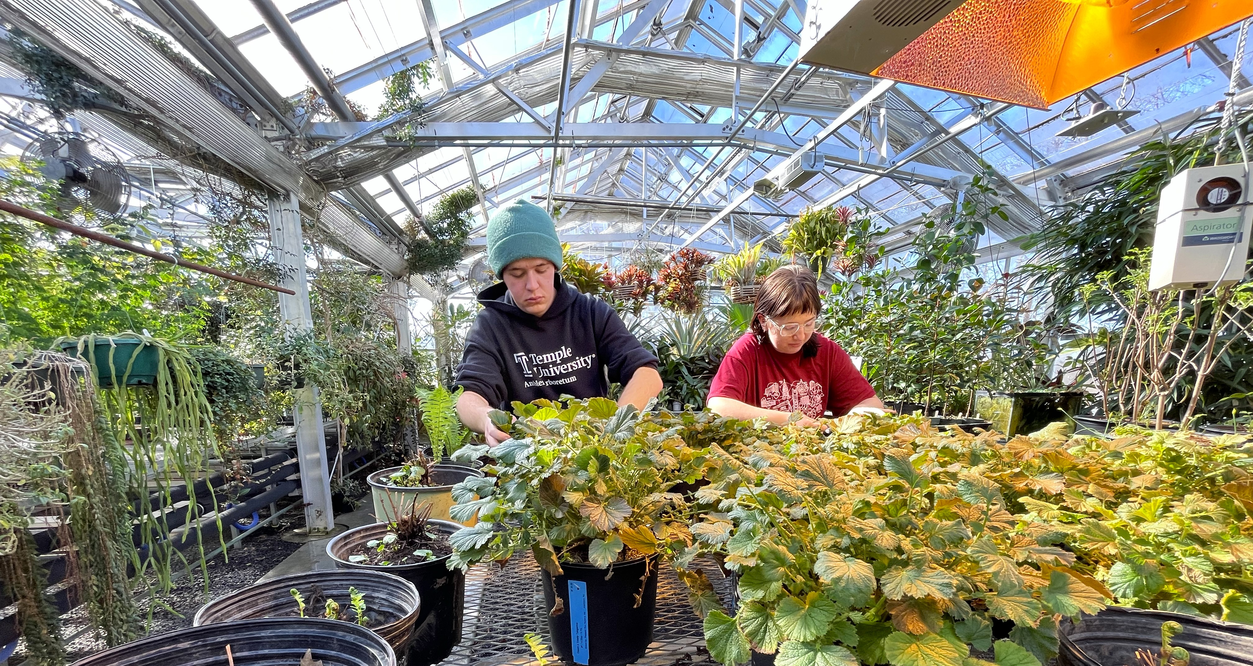 Making Horticultural Magic in the Greenhouse