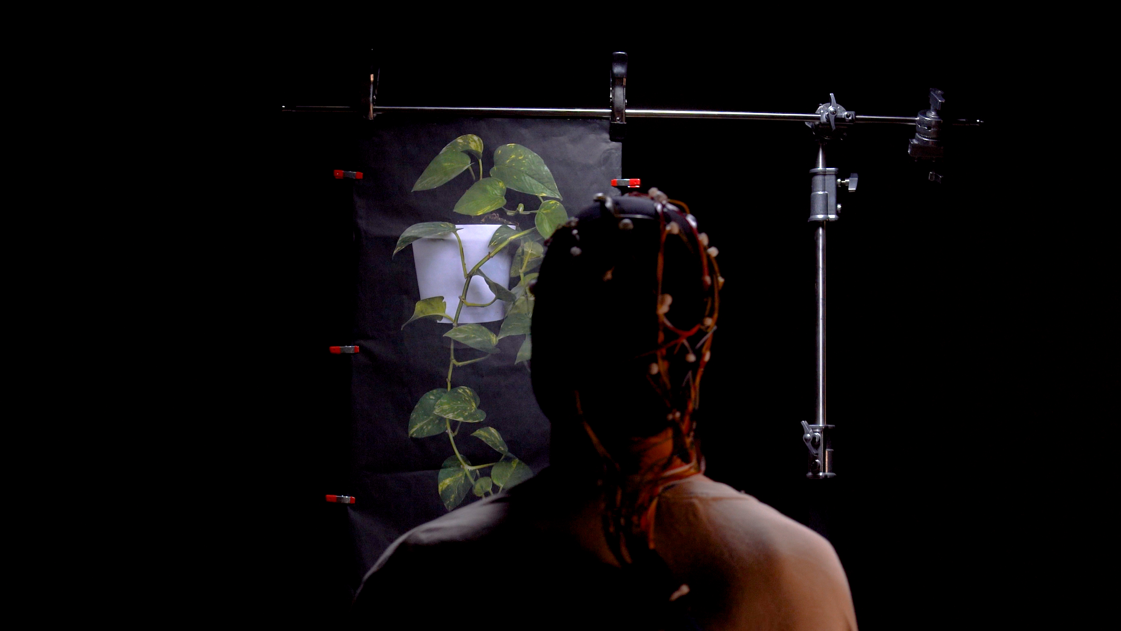 Film still from Brandon Aquino Straus' video installation.
