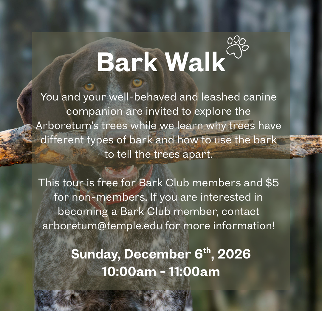 Ambler Arboretum: Bark Walk
