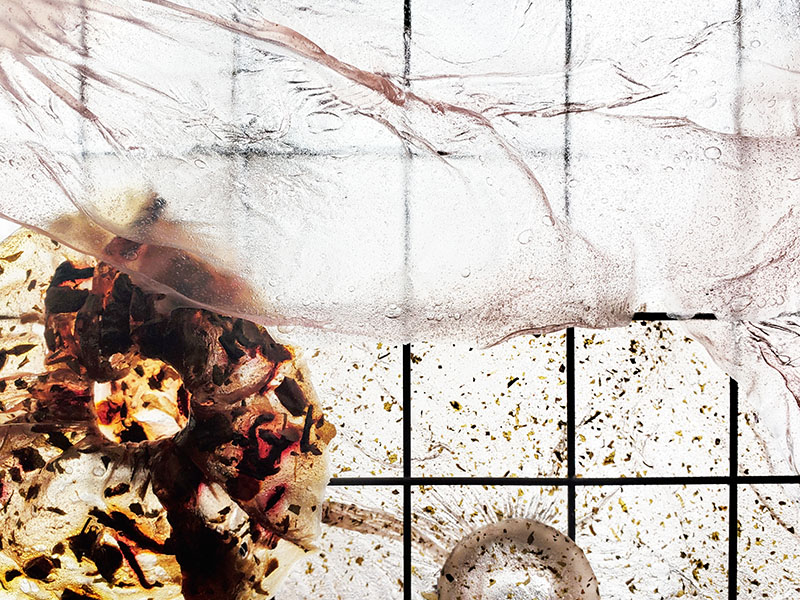 decorative image for the event