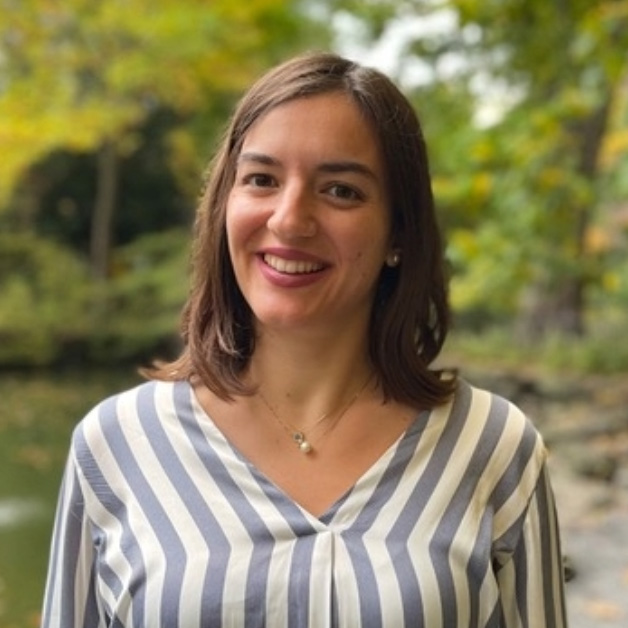 decorative profile picture of Dr. Vasiliki Meletaki