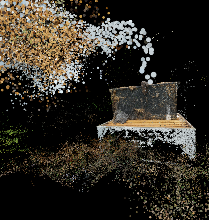 digital collage image