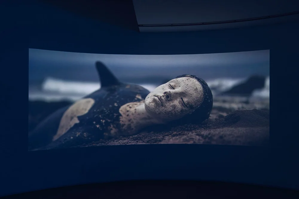 Nádia Duvall, The Blue Hour, 2025, Video and sound, 13:05 mins – Ed of 3