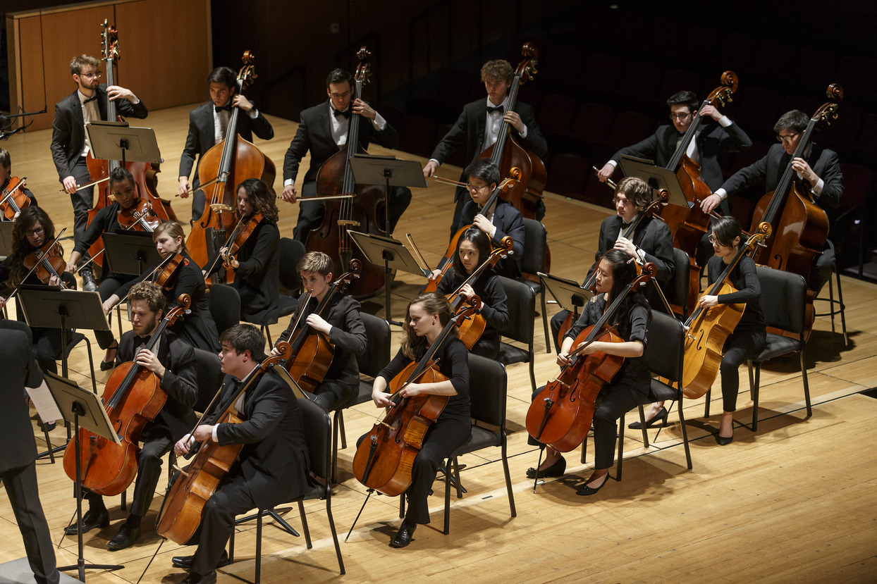 Orchestra