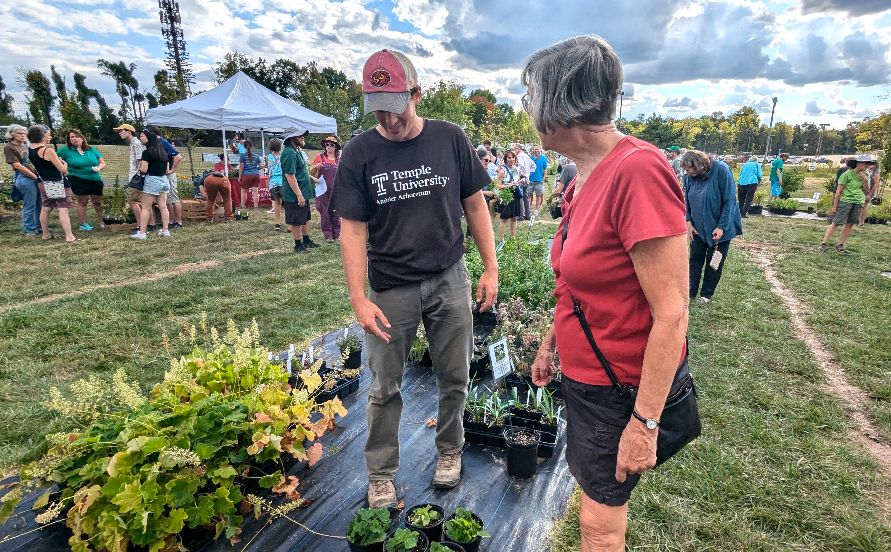 Collins Nursery of the Ambler Arboretum Open Days