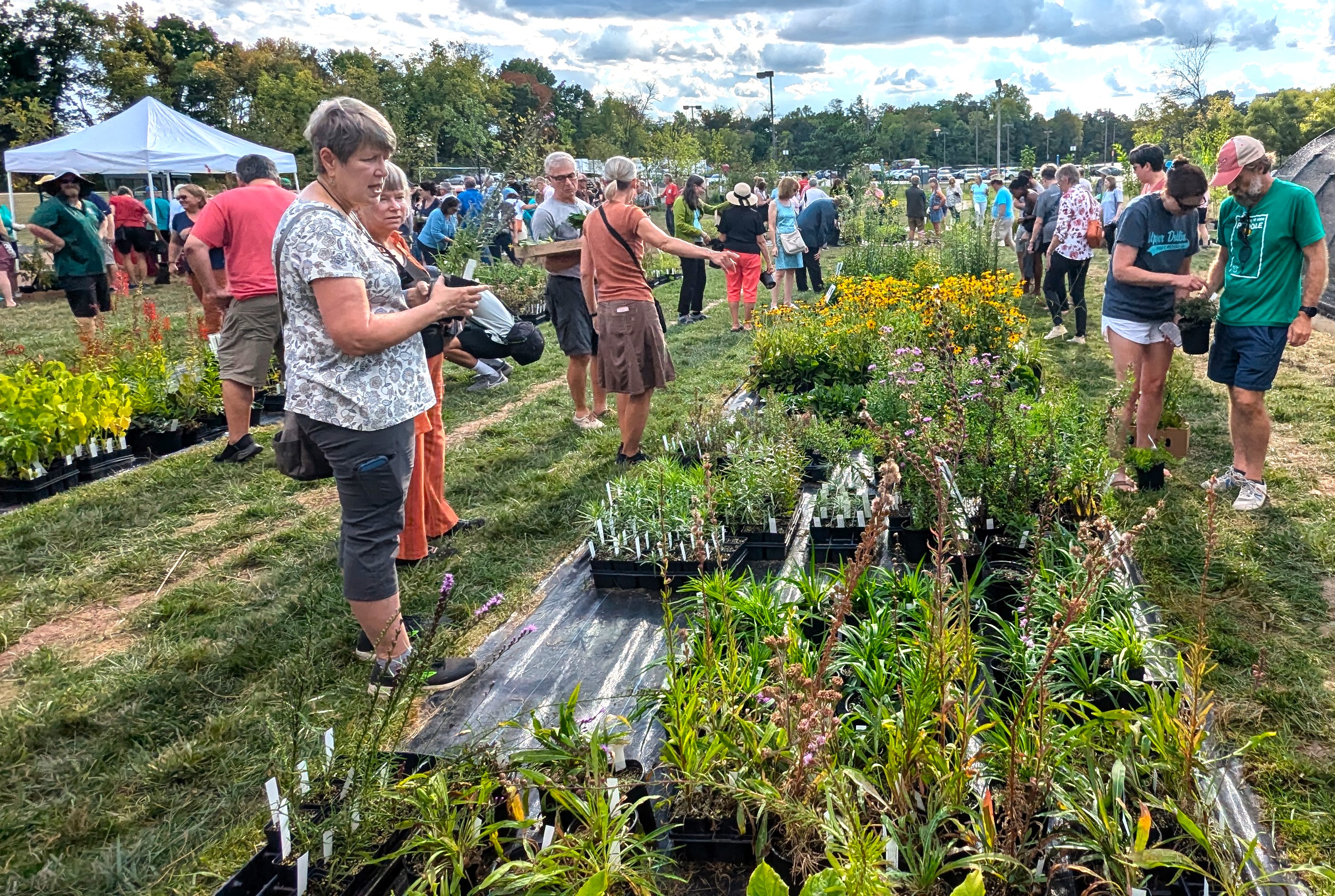 Collins Nursery – September 26, 2026