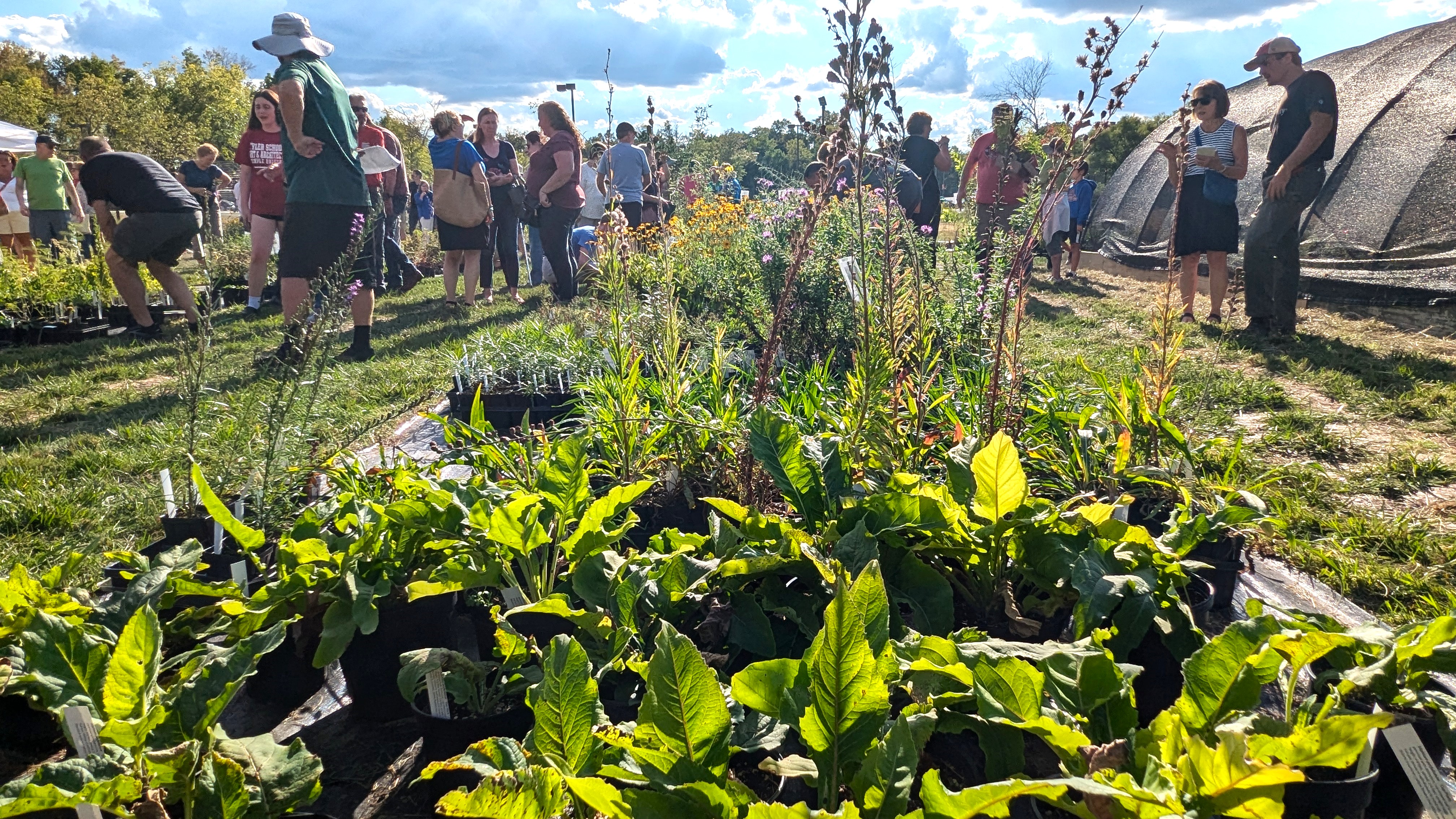 Collins Nursery – August 15, 2026