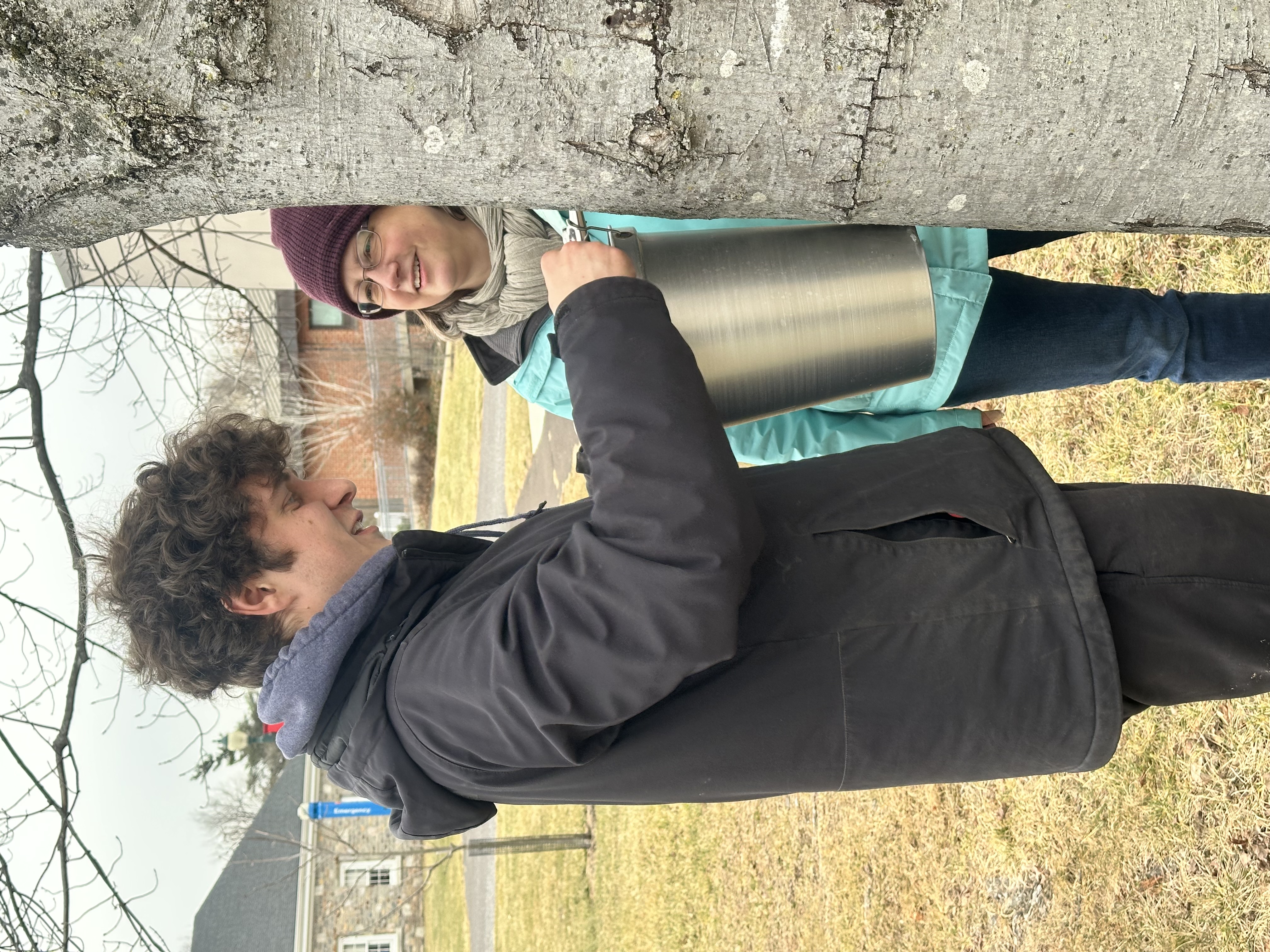 Ambler Arboretum: Sap Tapping 101