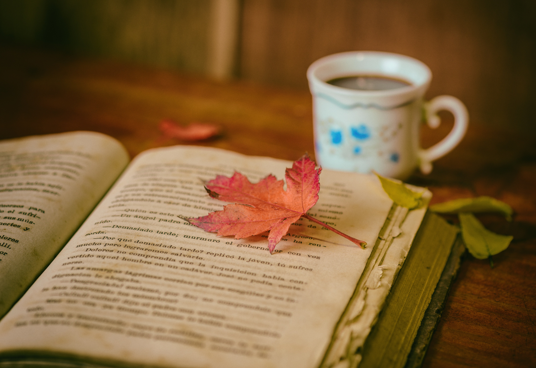 An open book on a table, with a red autumn leaf laid on top. A cup of coffee or tea is nearby. 