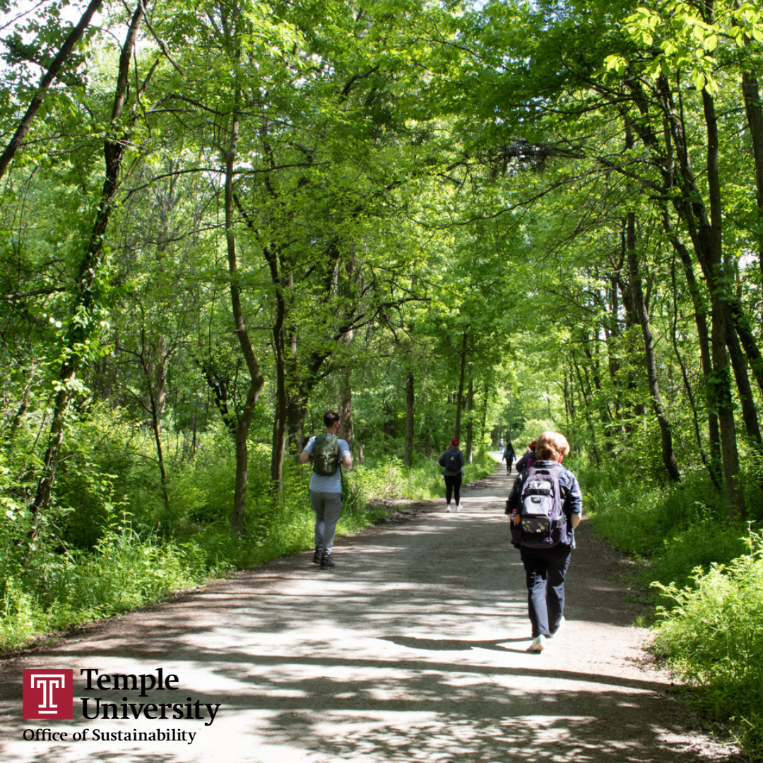 students walking in woods