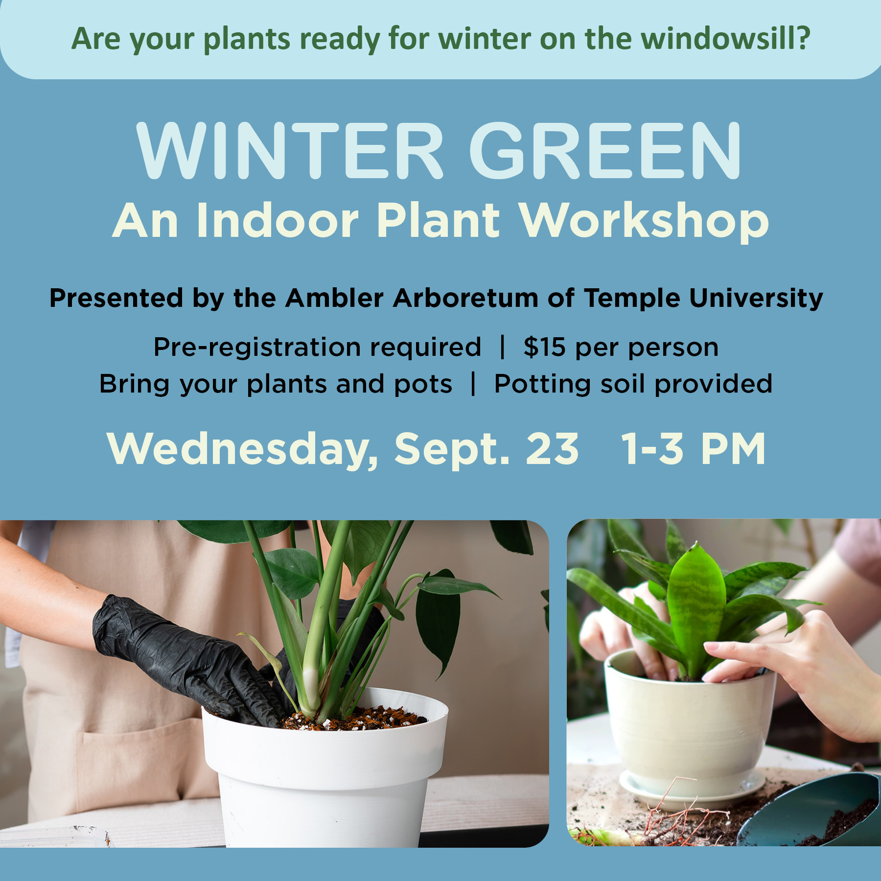 Winter Green - Thumbnail