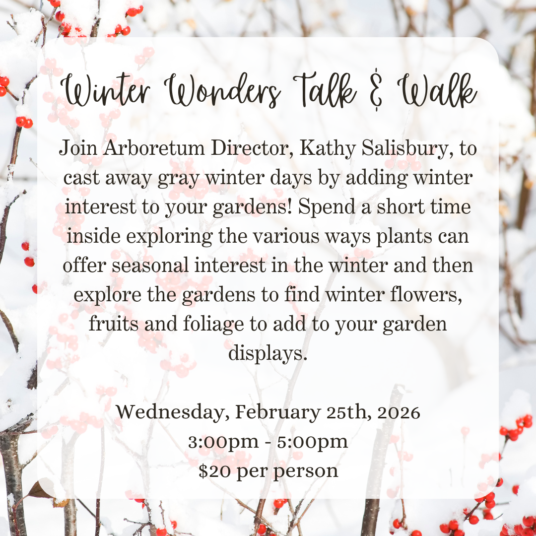 Ambler Arboretum: Winter Wonders Talk & Walk