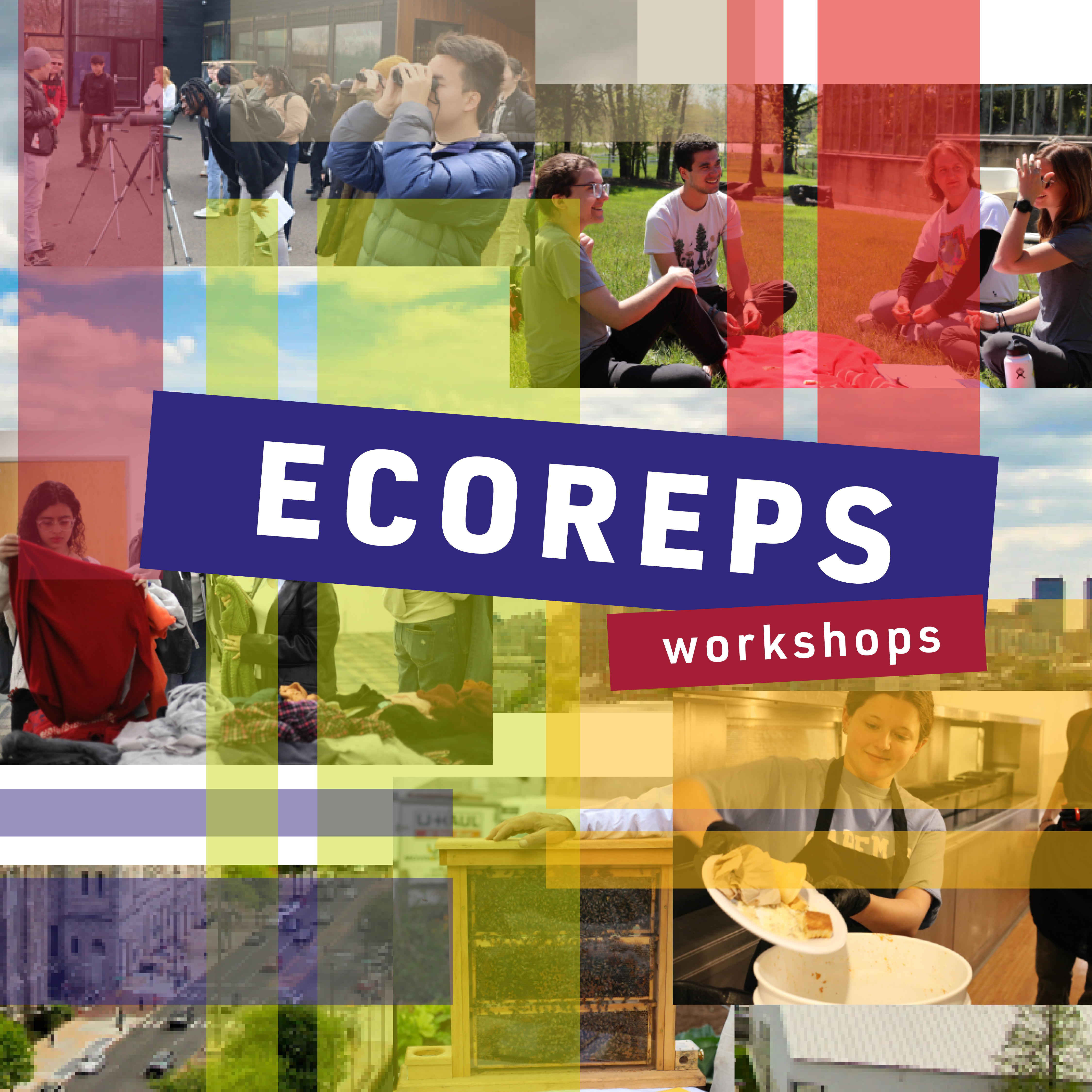 EcoReps Workshops