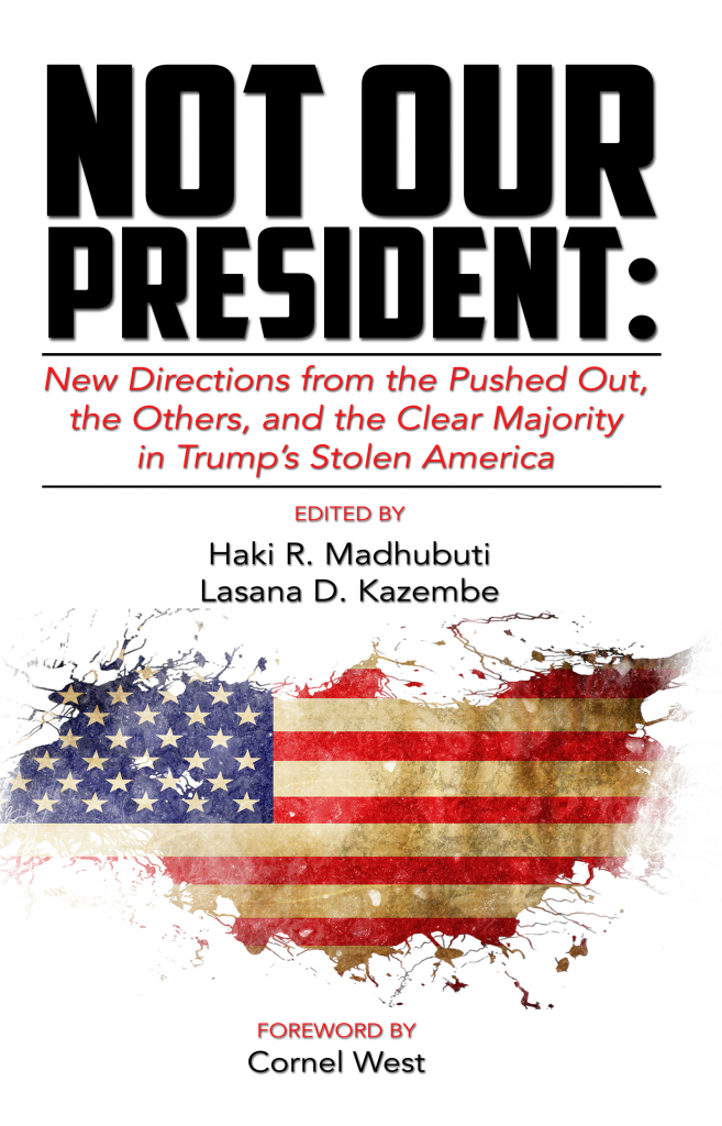not our president book cover