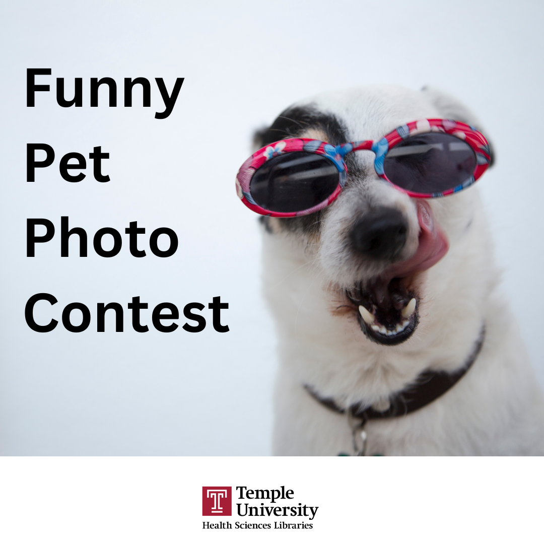 Funny Pet Photo Contest