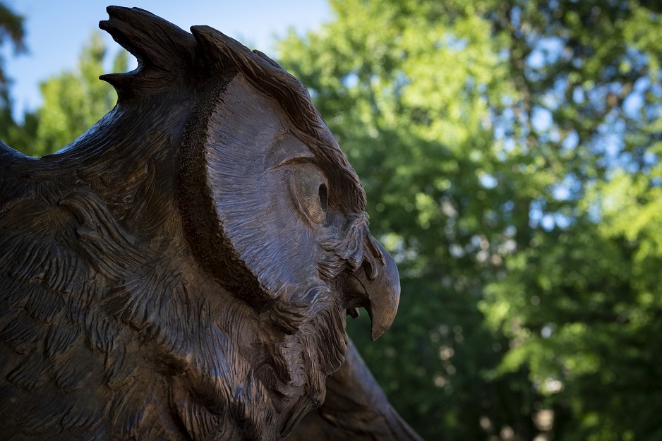 Owl statue on Main Campus.
