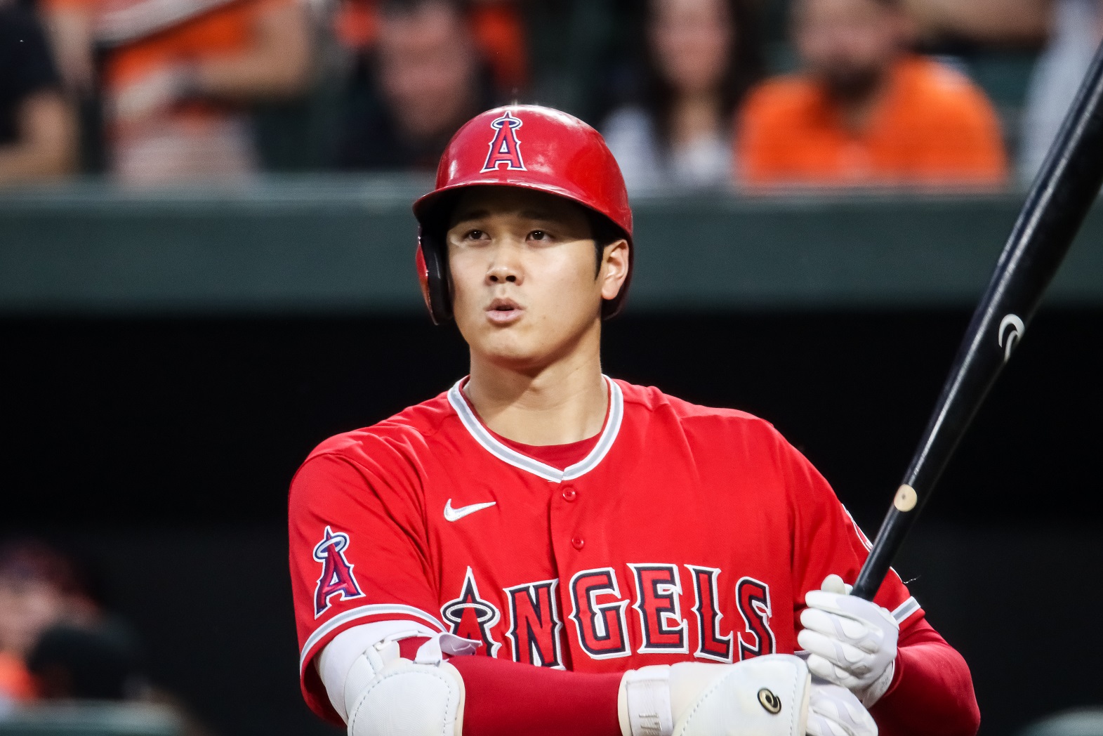 Shohei Ohtani pictured.