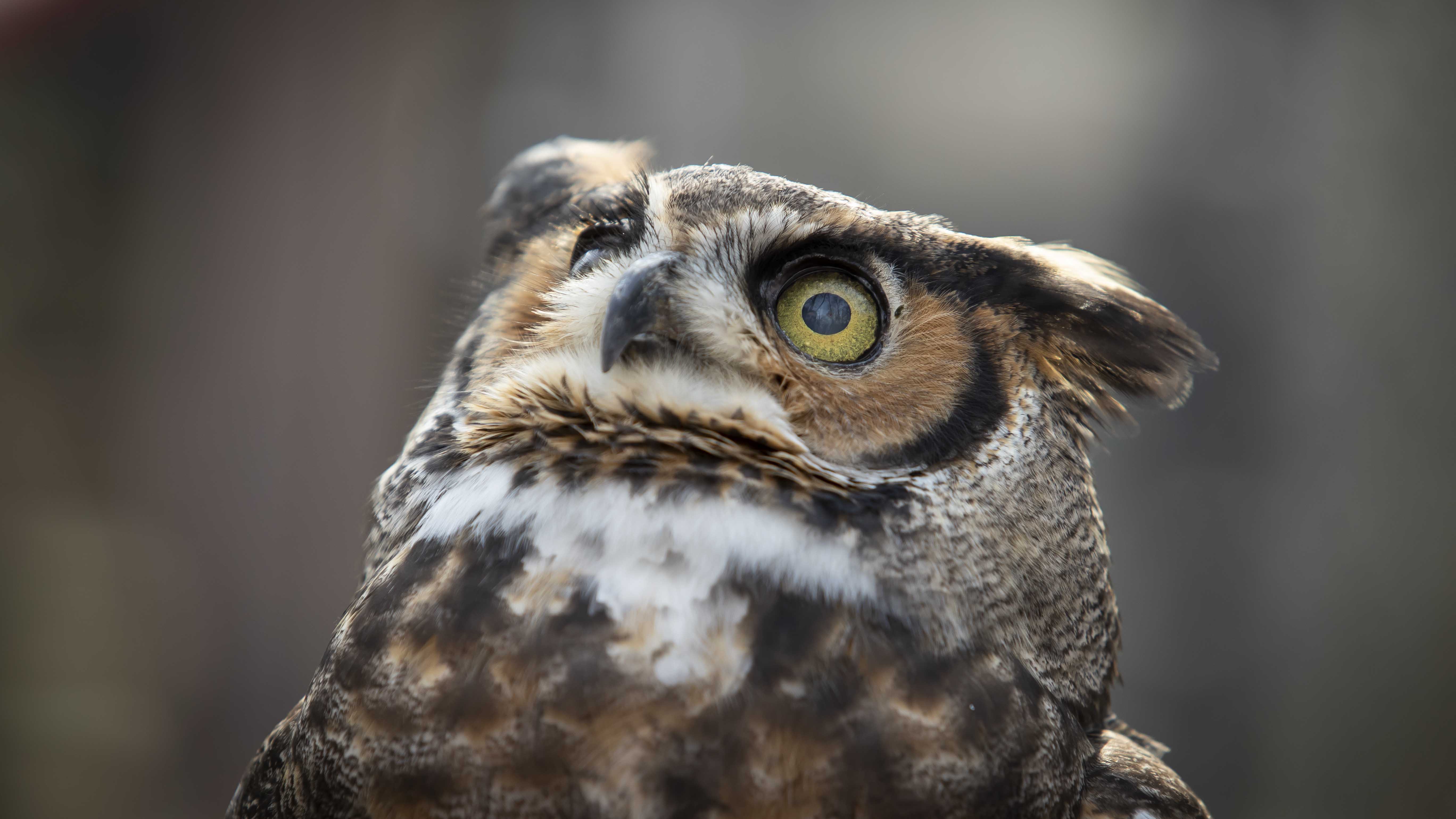 stella_wedding_029_copy_938x528_1