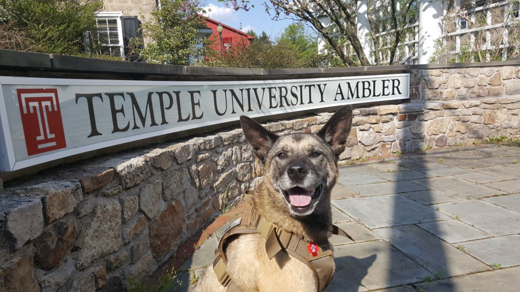 Arboretum Dog Events - Main Image