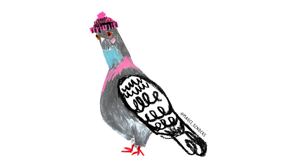 Illustration of a pigeon by Marci Senders