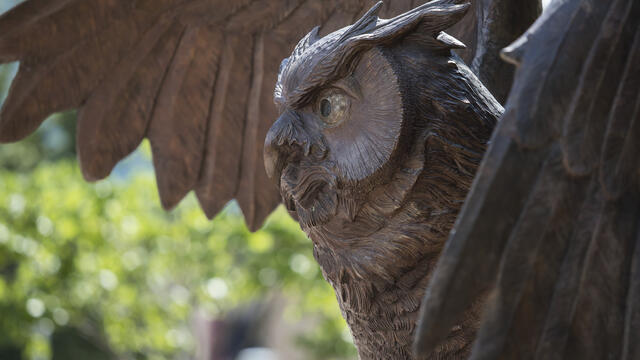 Owl statue pictured.