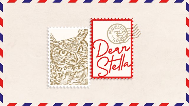 An illustration of two postage stamps, one with Stella the Owl and one that reads Dear Stella.